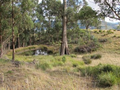 Huon Highway, Huonville