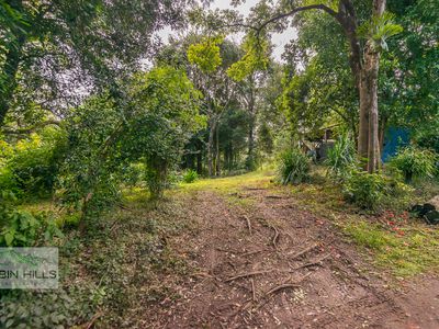 41 / 4505 Kyogle Road, Wadeville