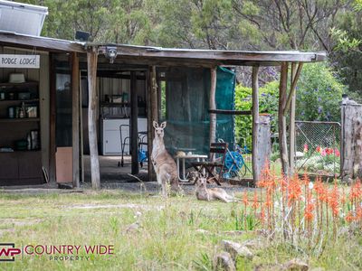 Lot 2, 1941 Emmaville Road, Glen Innes