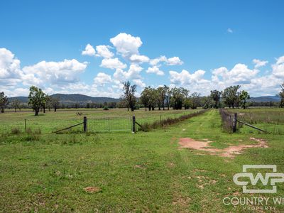 9699 Bruxner Highway, Bonshaw