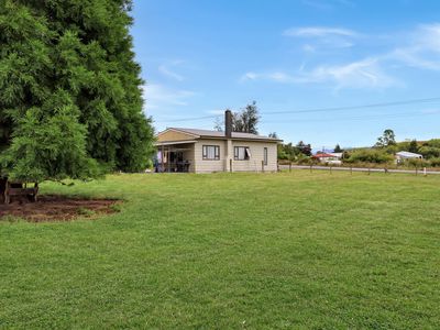 15 Sinclair Avenue, Nightcaps