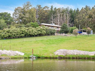 42 Autumn Road, Cradoc