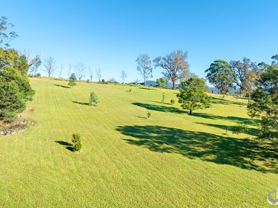 352 Bodalla Park Drive, Bodalla