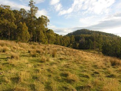 1 Halls Track Road, Pelverata