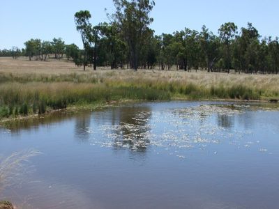 4096 Goolhi Road, Gunnedah