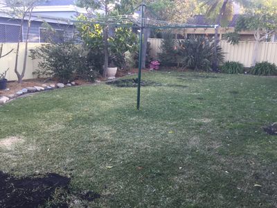 25 Brian Street, Balgownie