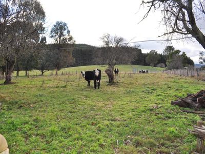 6146 Murray Valley Highway, Koetong