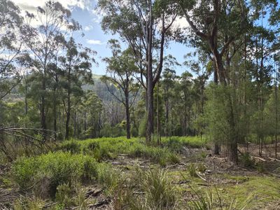 Lot 2, Off Paddys Lane, Franklin