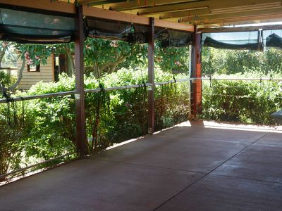 1372 Reedy Creek Road, Kingaroy