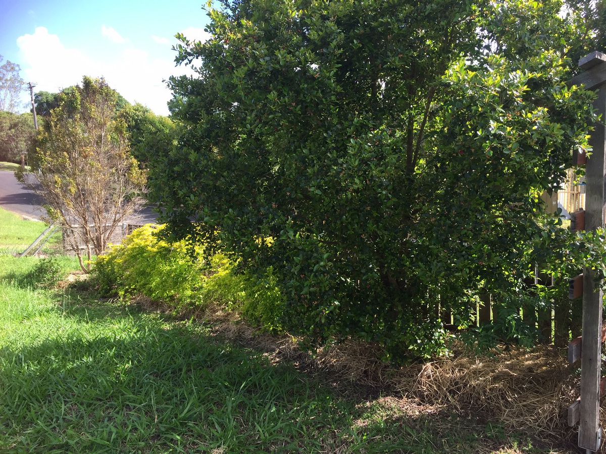 28 ELLIE STREET, Herberton