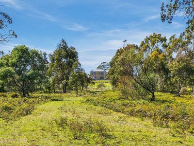 330 Sugarloaf Road, Carlton River