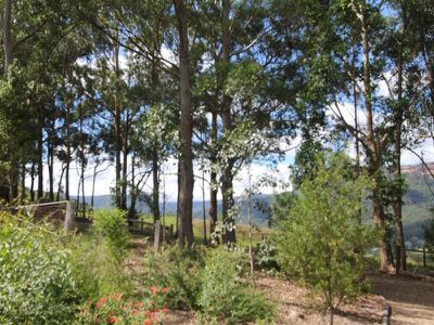 95 Mackays Road, Kangaroo Valley