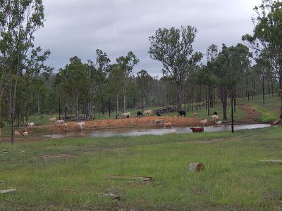 1466 Manumbar Road, Nanango