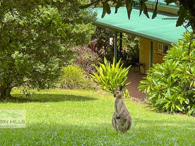 431 Borton Road, Tullera