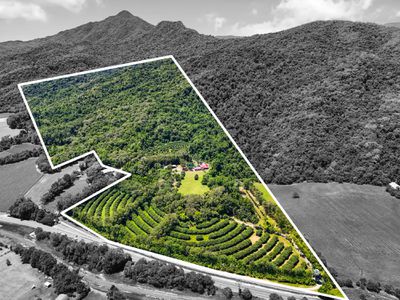 69863 Bruce Highway, Aloomba