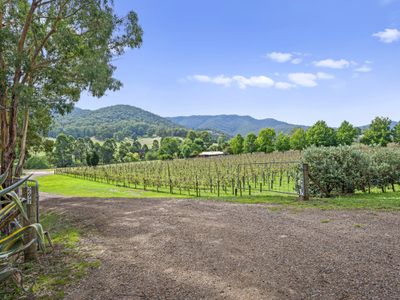 297 Jamieson-Licola Road, Jamieson