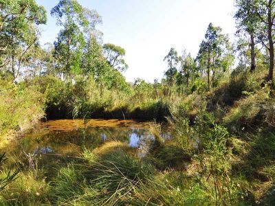 Garden Island Creek