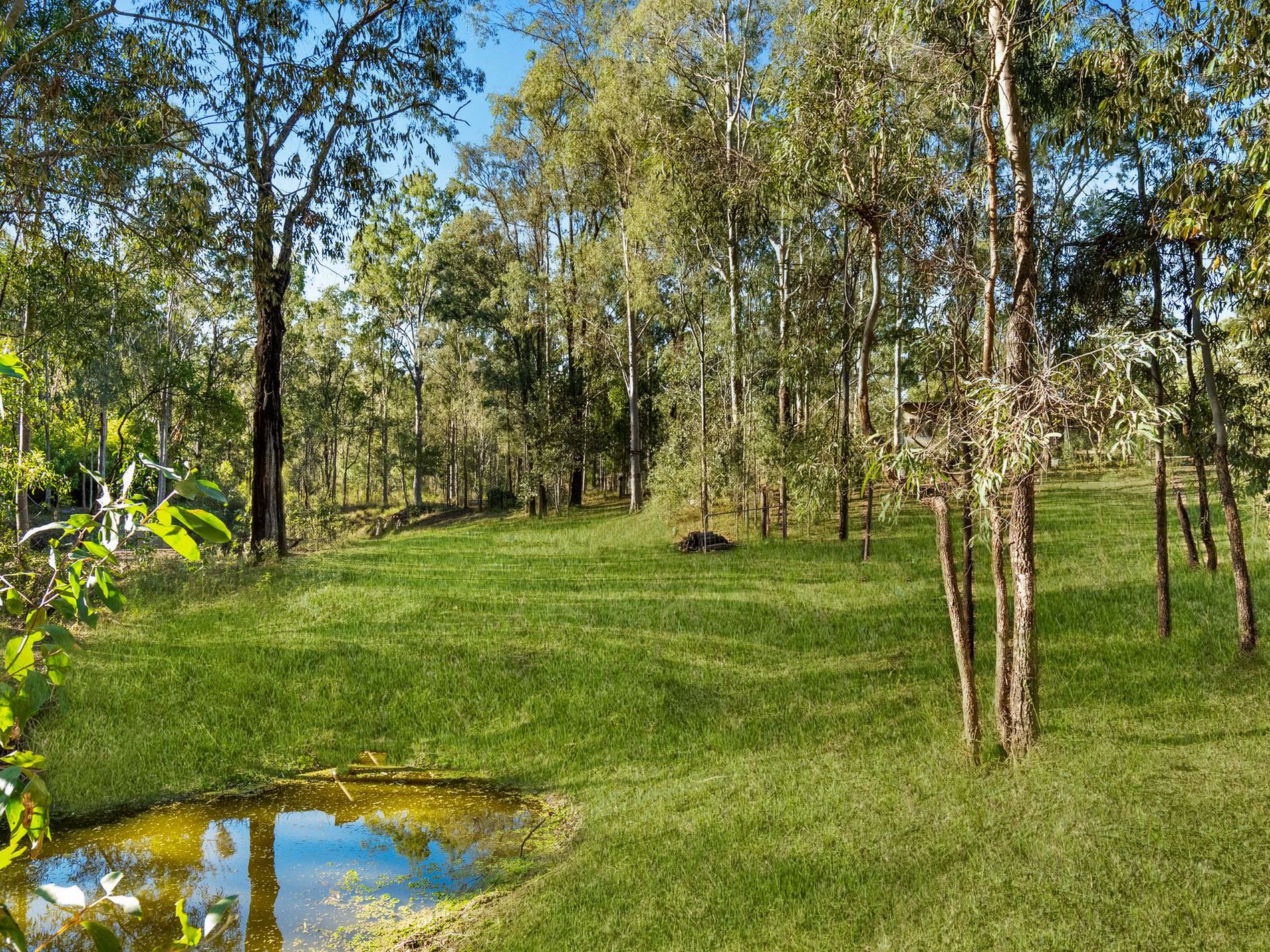 16 Bucknall Court, Regency Downs