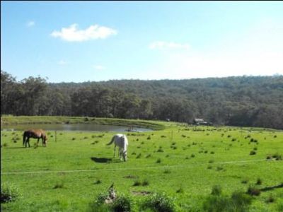 Grafton Road, Glen Elgin
