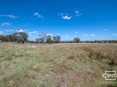 Lot 623 & 624, 2202 Wellington Vale Road, Emmaville