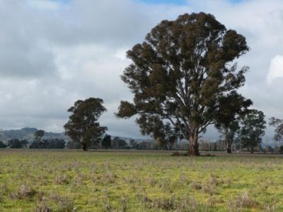 796 Fellow Hills Road, Holbrook