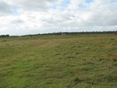 Moorland