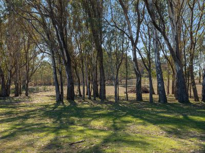 97 McCarthy Drive, Heathcote