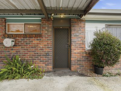 3 / 39 Sorell Street, George Town