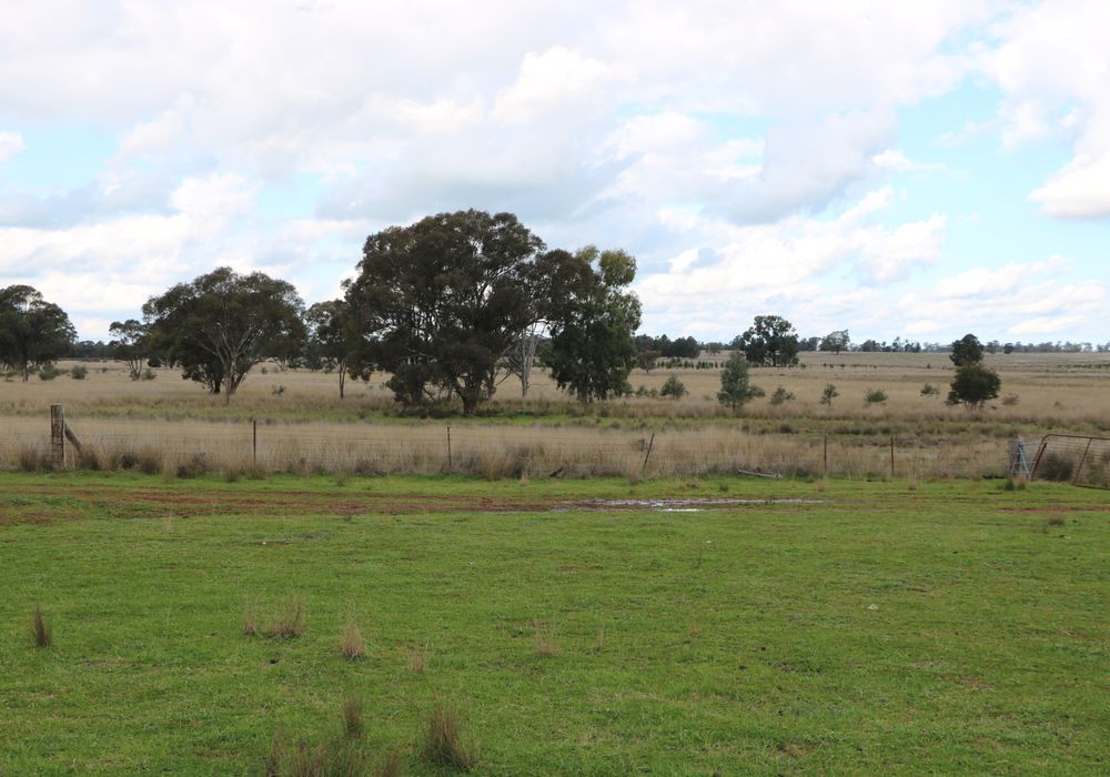 4330 Back Trundle Road, Trundle