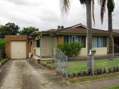 Lurnea