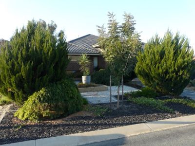Tocumwal