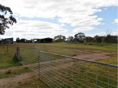 68 Richmond Plains-Wedderburn Road, Wedderburn