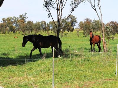 228 / Perryman Lane, Table Top