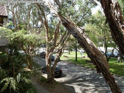 3 / 9 Guilfoyle Avenue, Double Bay