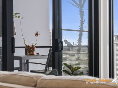 1003 / 8 Gribble Street, Gungahlin