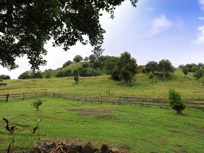 154 Tuntable Creek Road, The Channon