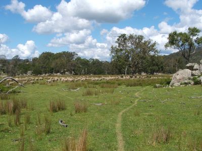 Red Hill Road, Stannum