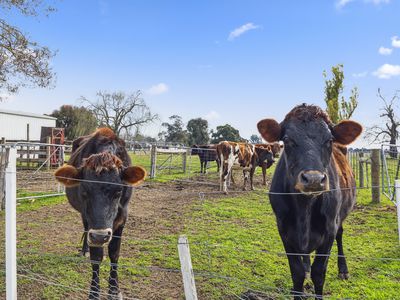 45 FERGUSON ROAD, Tatura