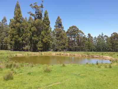 Lot 1 (99 Acres), Coal Mine Road, Kaoota