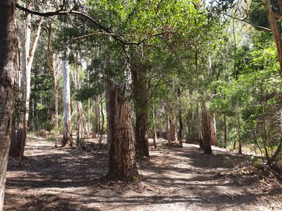 Lot 4 Holmes Road, Ellendale