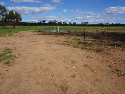 'Winderra Park' Bellarwi Road, West Wyalong