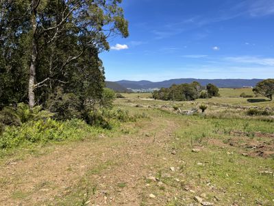 28834 Tasman Highway, Weldborough