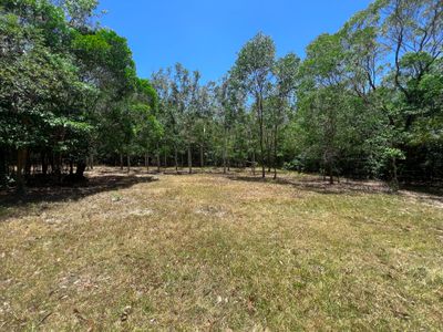 506 Cameron Creek Road, Cooktown