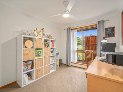 10 Chinbible Avenue, Mullumbimby