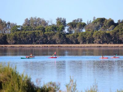 44 Lakeside Drive, Eden