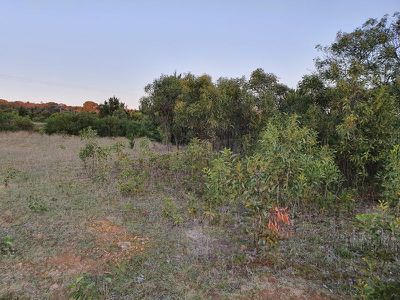 Lot 790, Thomas Road, Rocky Camp