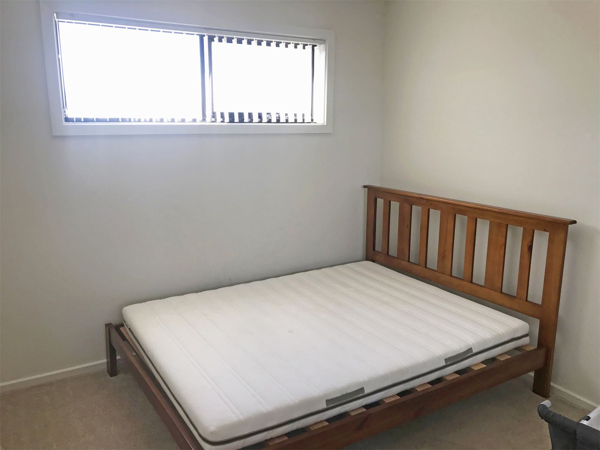 20 Stallion Drive, St Clair