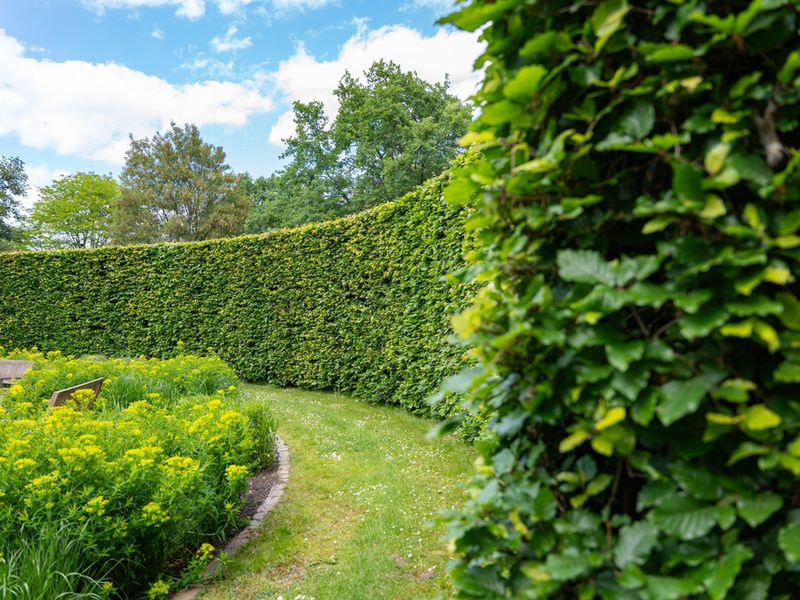 BAYSIDE TERRITORY  MOBILE HEDGE & GARDEN SERVICE BUSINESS | HIGH MARGINS