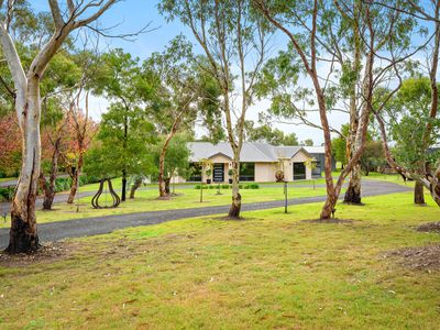 6 Acacia Drive, Millicent
