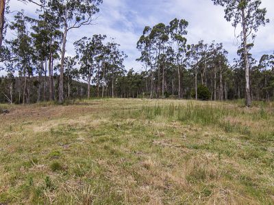 0 Walters Road, Wattle Grove
